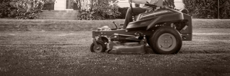 Jaspro Services - Lawn Care and Landscaping